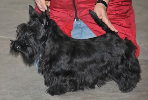 Wilma im Stand